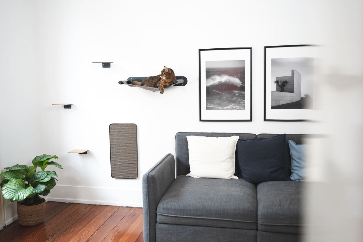 Dieselbe Wohnzimmerecke mit LucyBalu Katzenwand: SWING Hängematte, Katzenstufen und Kratzstamm an der Wand