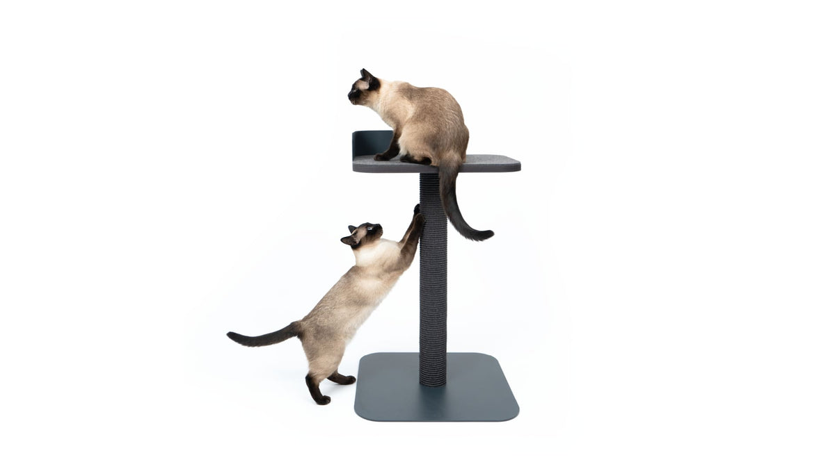 PLATEAU - Scratch and lounge cat tree