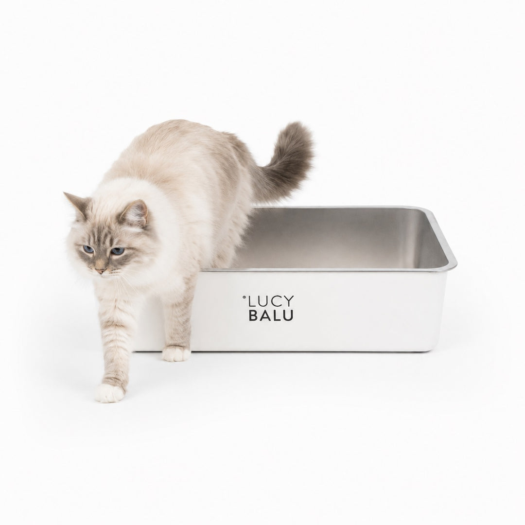 STEELOO stainless steel cat litter box in white, cat sitting in front of it
