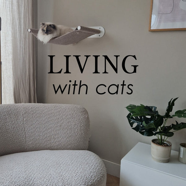 Living with Cats - Ein Interview mit dem Gründer und Chefdesigner Sebastian Frank