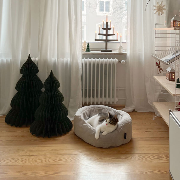 Des fêtes de fin d'année paisibles et un sapin de Noël sécurisé pour les chats