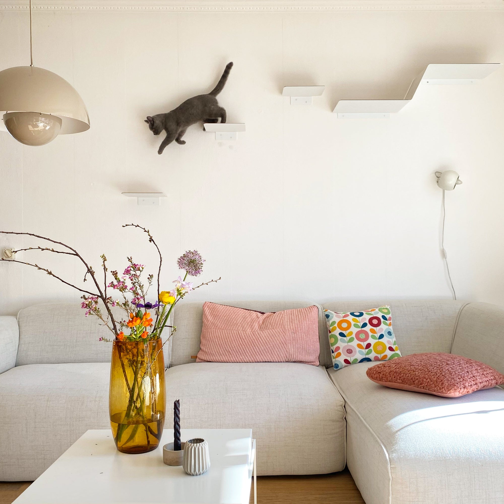 Tipps und Tricks für eine saubere Wohnung mit Katze: