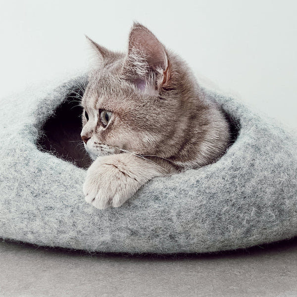 Von Tierheim zu Traumheim: Tipps für eine gelungene Katzenadoption