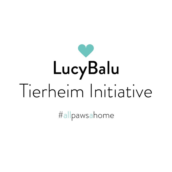 LucyBalu x Tierheime - #allpawsahome als Tierschutzinitiative