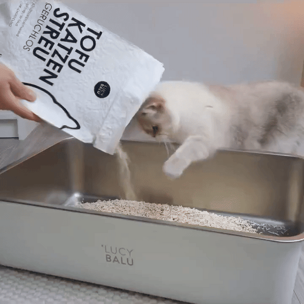 Teurer Mythos? Warum TOFU Katzenstreu oft günstiger ist