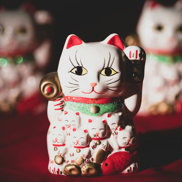 Die Katze als Kulturgegenstand: Von der Antike bis zu Instagram