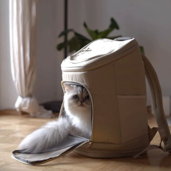 Aufgesattelt! Mit dem HOP-ON Katzenrucksack unterwegs