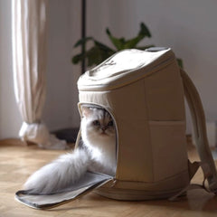 Saddle Up! Out and About with the HOP-ON Cat Backpack
