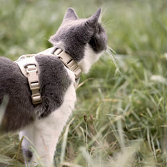 Ready for adventure: The EXPLORER cat harness
