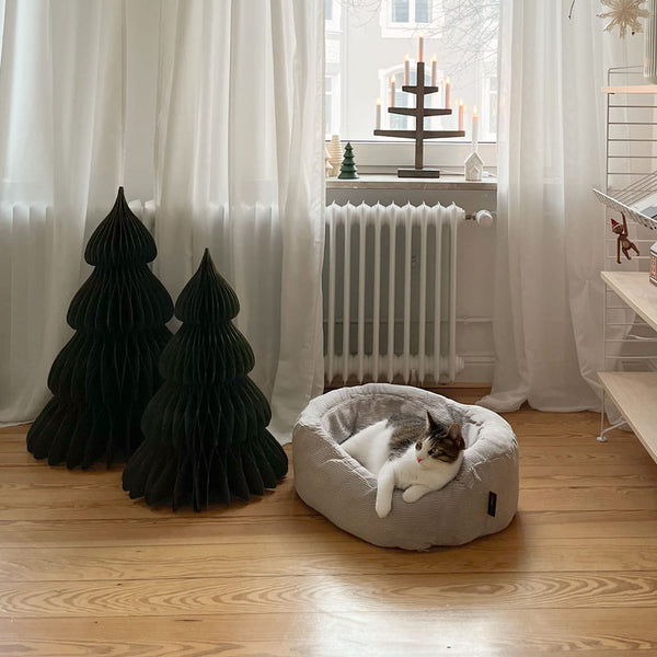 Sicher durch die Feiertage: Wie du den Weihnachtsbaum katzensicher machst