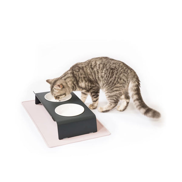 Die Höhen und Tiefen des Katzenlebens: Macht ein erhöhter Napf für Katzen Sinn?