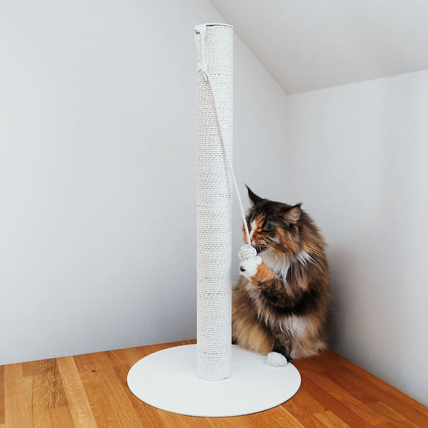 Hoch hinaus fürs Kratzen: Die PAPERPOLE Kratzsäule