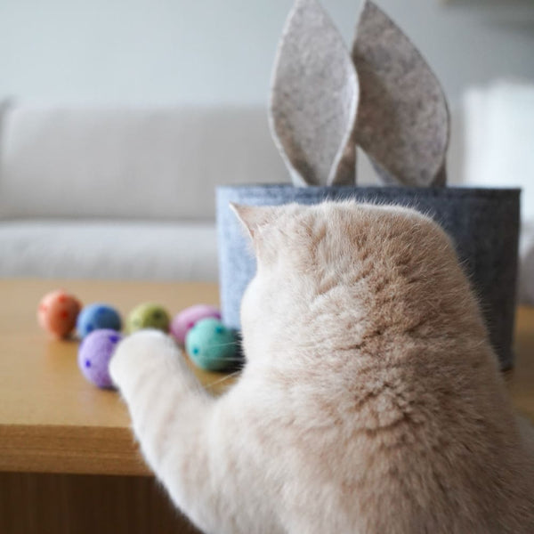 Katzen und Ostern: Tipps für ein sicheres und spaßiges Fest