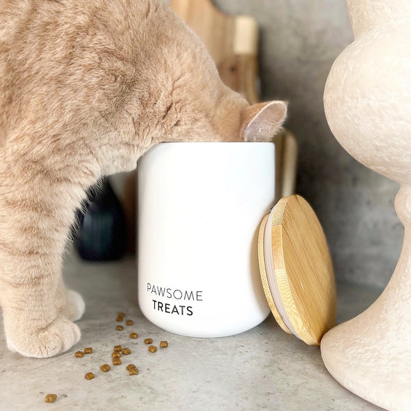 Katzenleckerlis selber machen: Herbstliche Rezepte für deine Katze