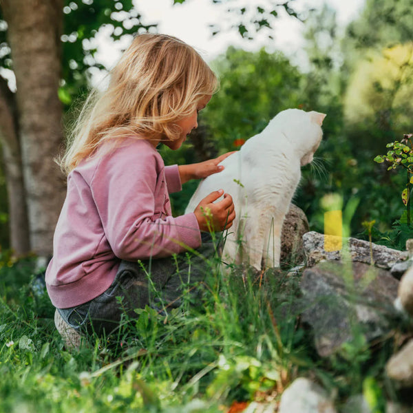Tipps für eine glückliche Beziehung zwischen Kindern und Katzen
