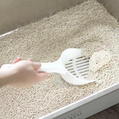 Klumpstreu-Duell: Bentonit vs. TOFU – wer macht das Rennen?