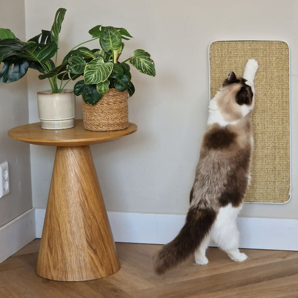 Katzen und Krallenpflege: Tipps für gesunde Krallen