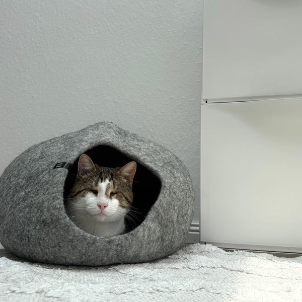 PEBBLE Filzhöhle: Warum Katzen dieses Naturversteck einfach lieben