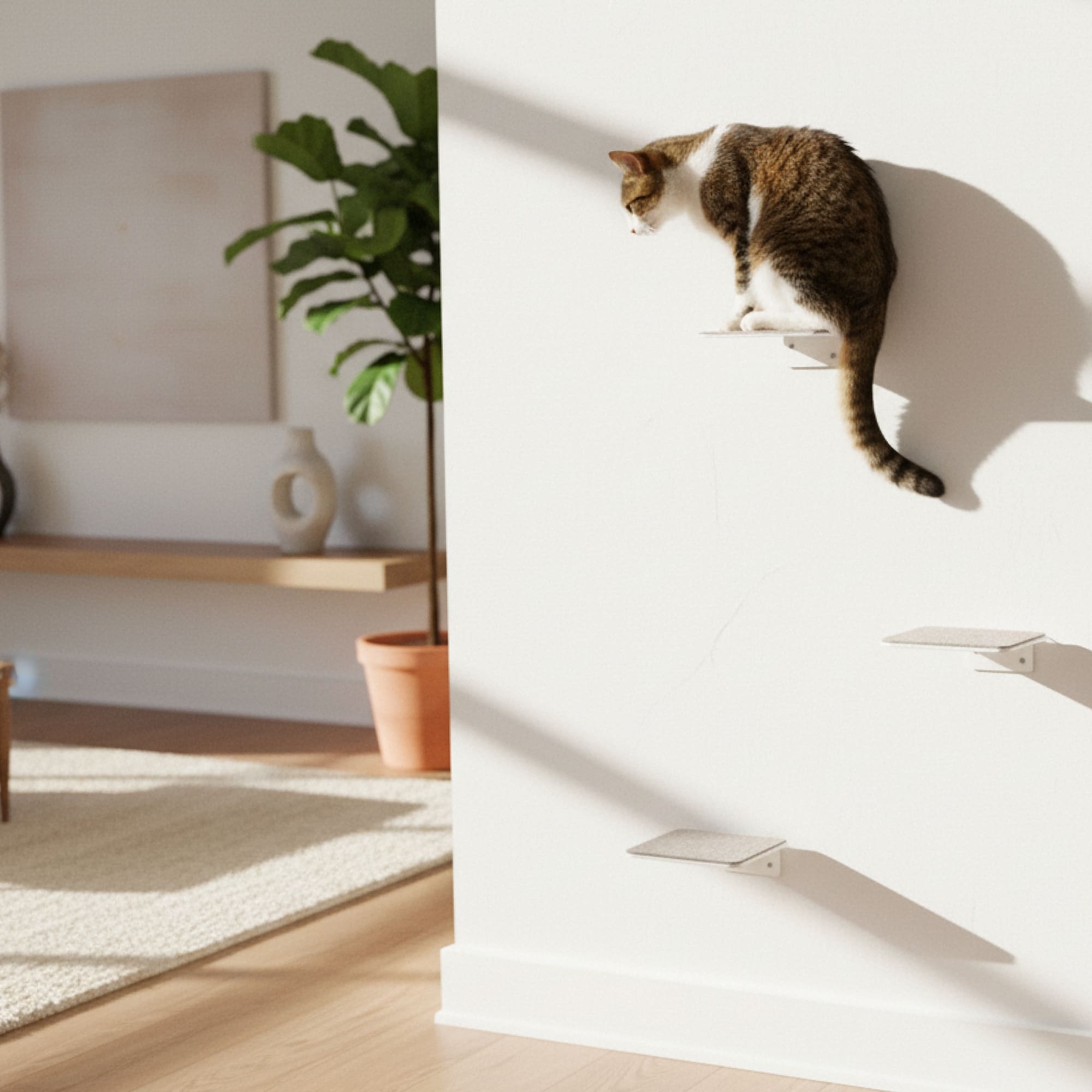 Katzentreppe: Die elegante Wandlösung für mehr Bewegung, Abenteuer & Freiheit