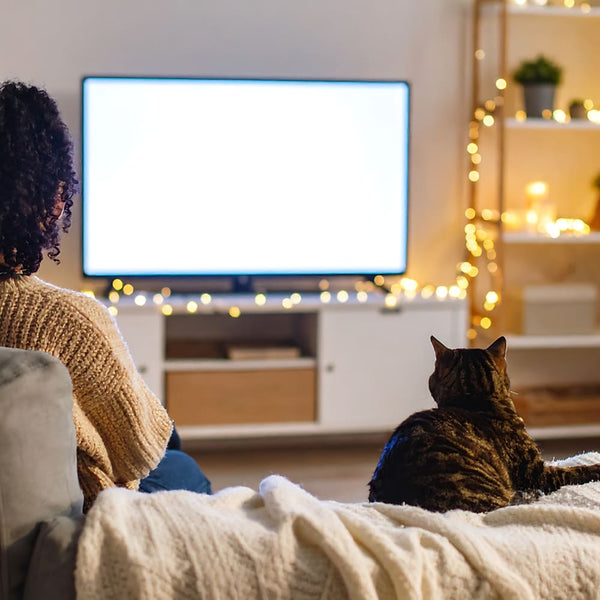 Oscar reif auf vier Pfoten: Katzen im Kino