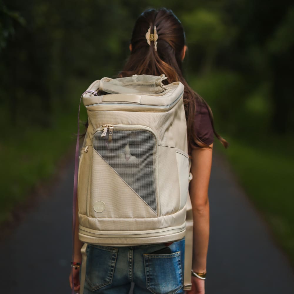 Pack die Katze ein! So wird Reisen plötzlich ganz entspannt