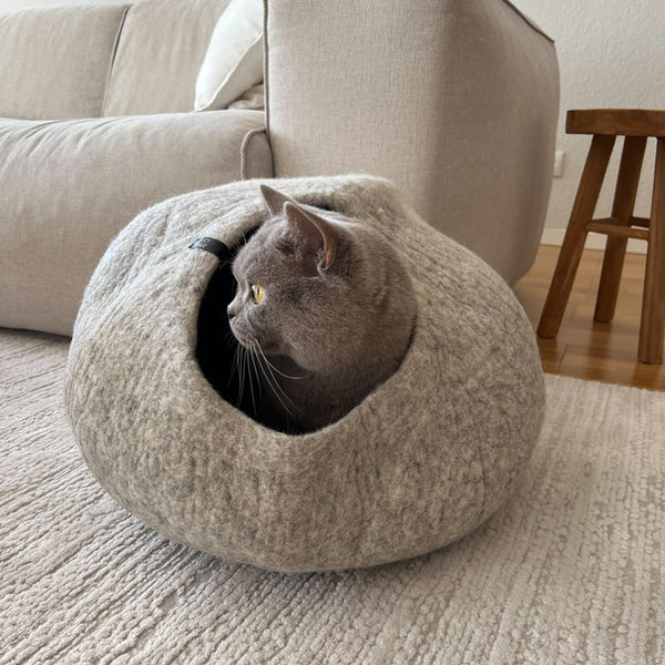 Plüsch? Nein danke! Was Katzen wirklich gemütlich finden