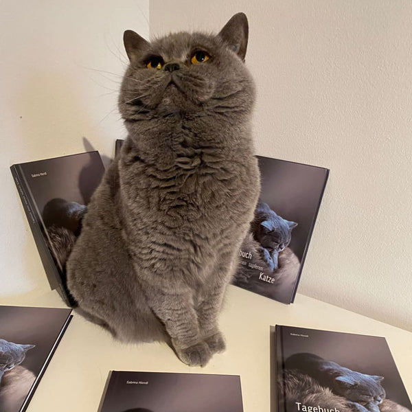 FIP in cats: An inspiring success story