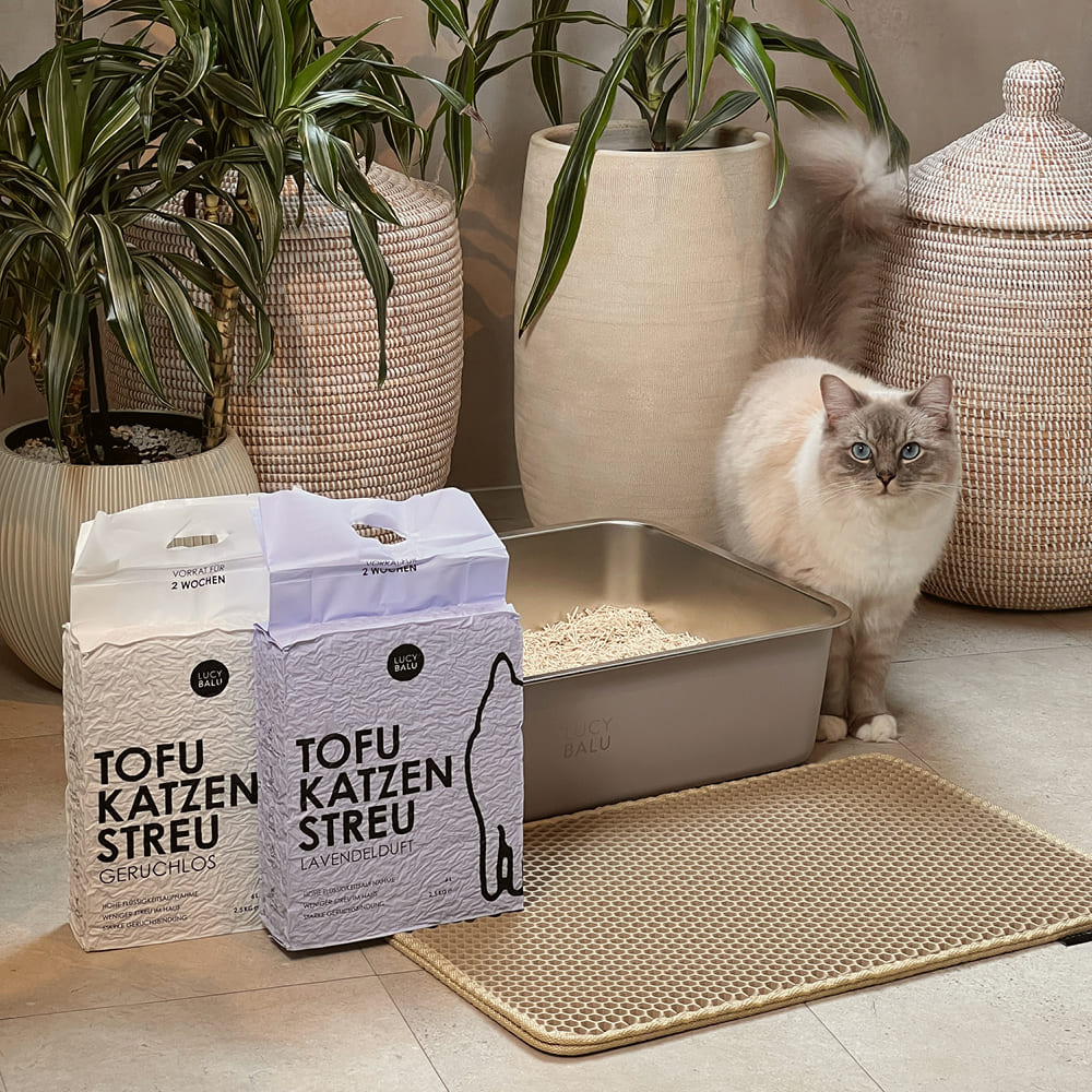 Staub war gestern: So schützt du Katze & Mensch beim Katzenstreu