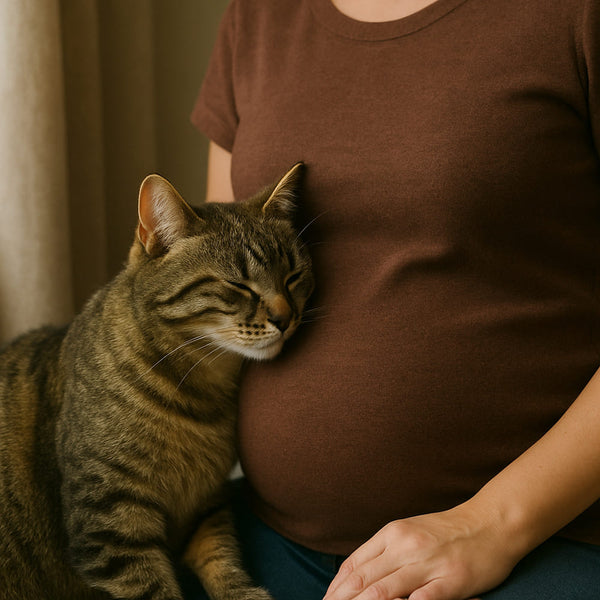 Toxoplasmose und Schwangerschaft: So schützt du dich und dein Kind