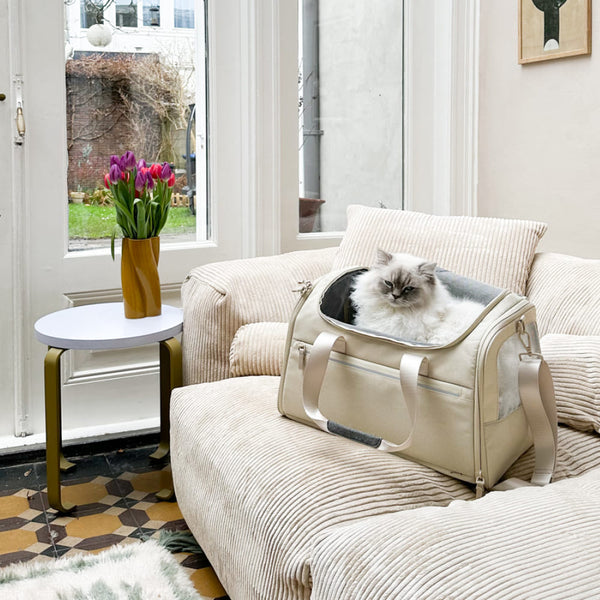 Von Tierheim zu Traumheim: Tipps für eine gelungene Katzenadoption