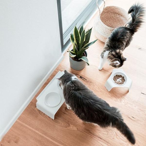 Katzen Futterplatz LucyBalu