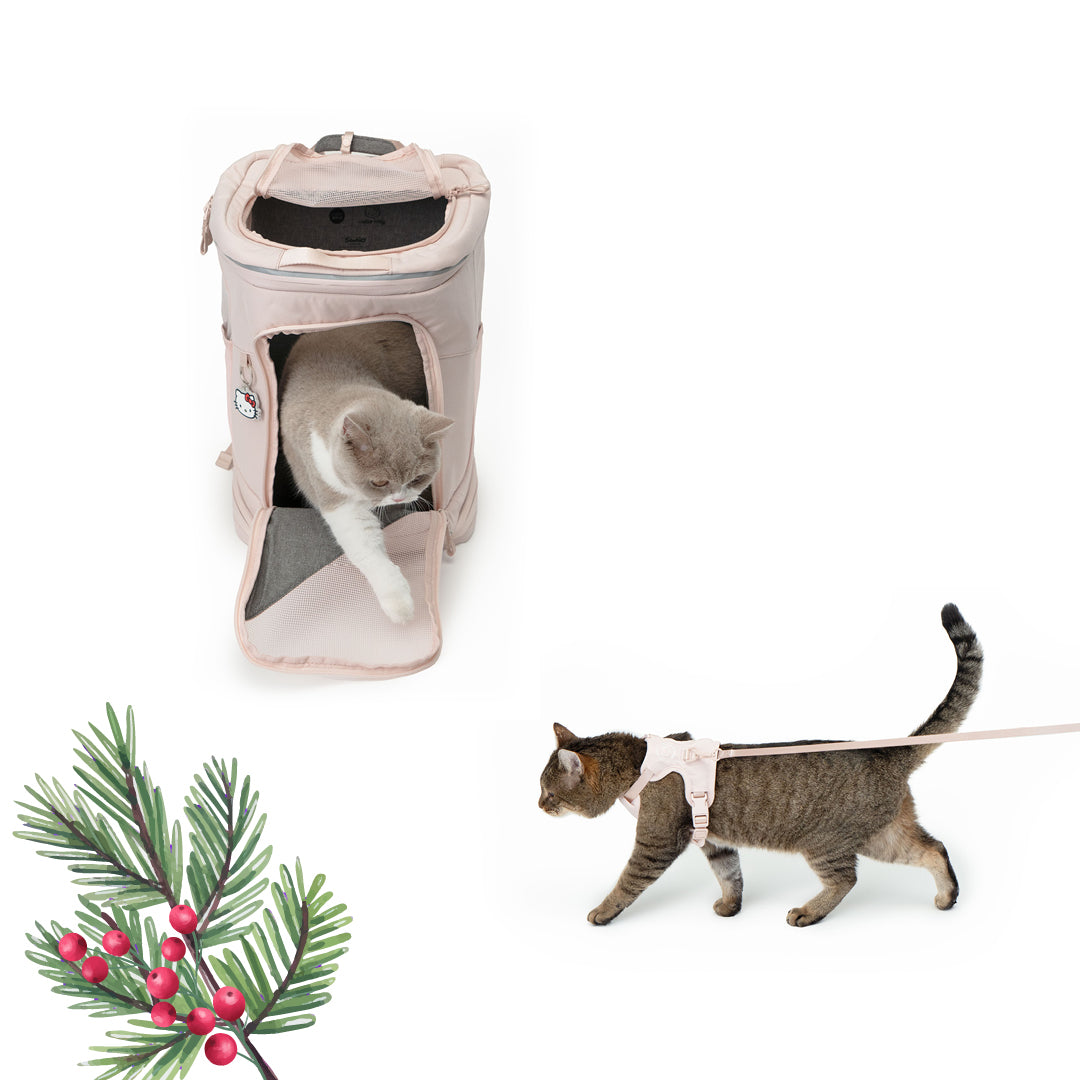 Carry & Explore Set - Hello Kitty Edition