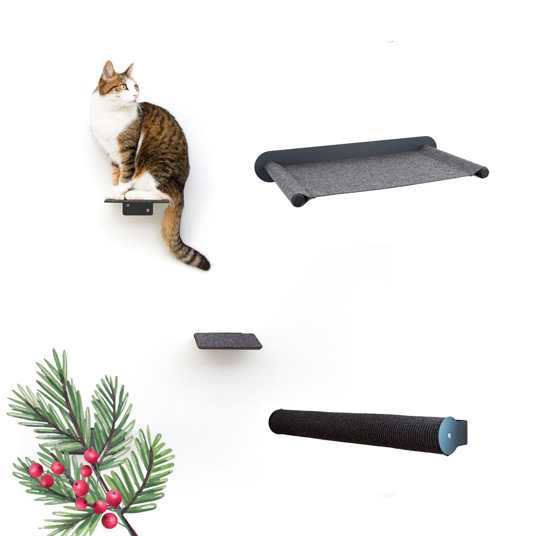 Katzenwand Set anthrazit - CATWALK