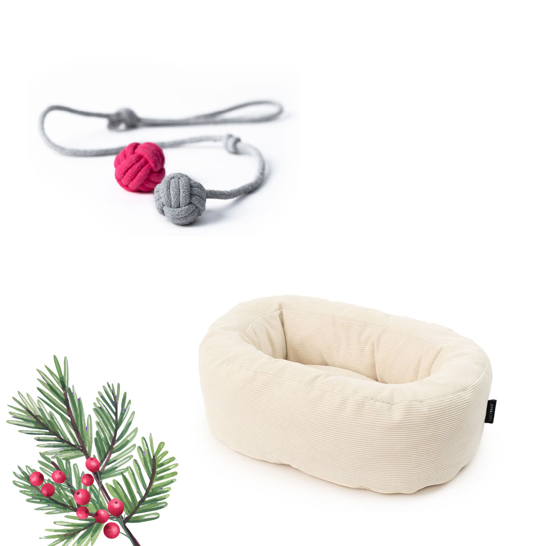 Katzenbett & Spielzeug Set