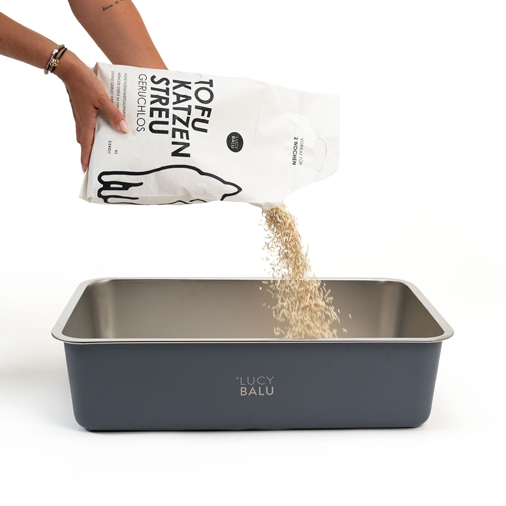 Katzenklo mit Katzenstreu befüllen