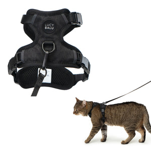 EXPLORER cat harness