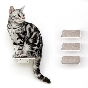 STEPS cat stairs