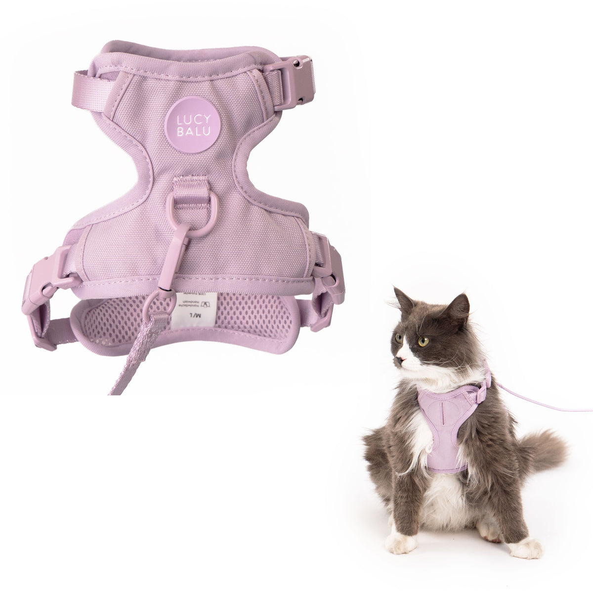 EXPLORER cat harness