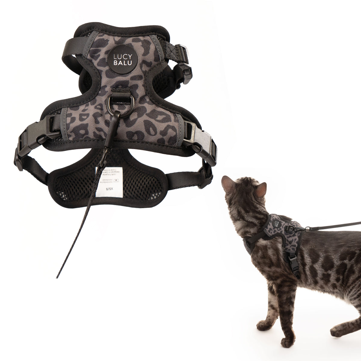 EXPLORER cat harness
