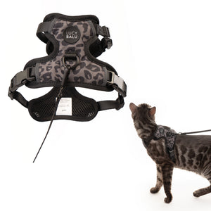 EXPLORER cat harness