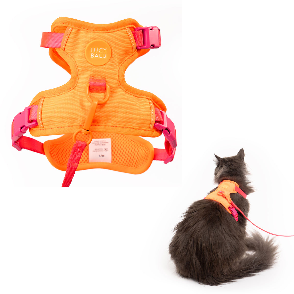 EXPLORER cat harness