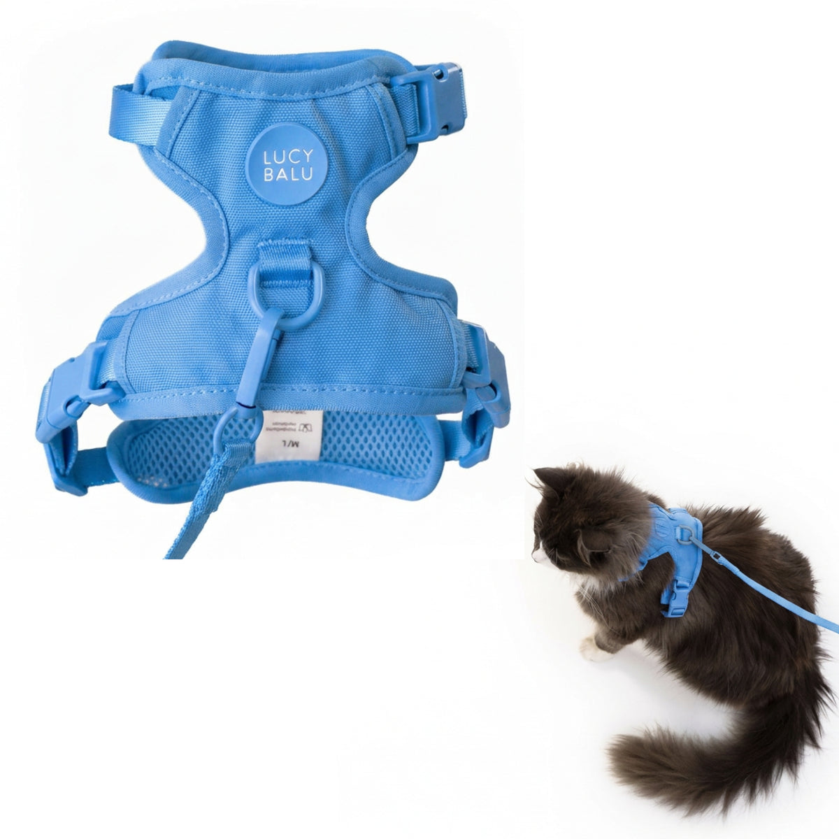 EXPLORER cat harness