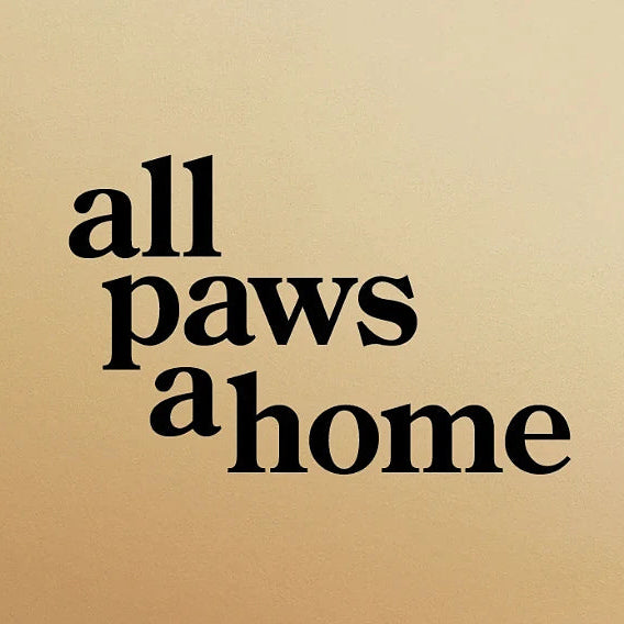 Schriftzug „all paws a home“ in Schwarz auf beige-goldenem Hintergrund