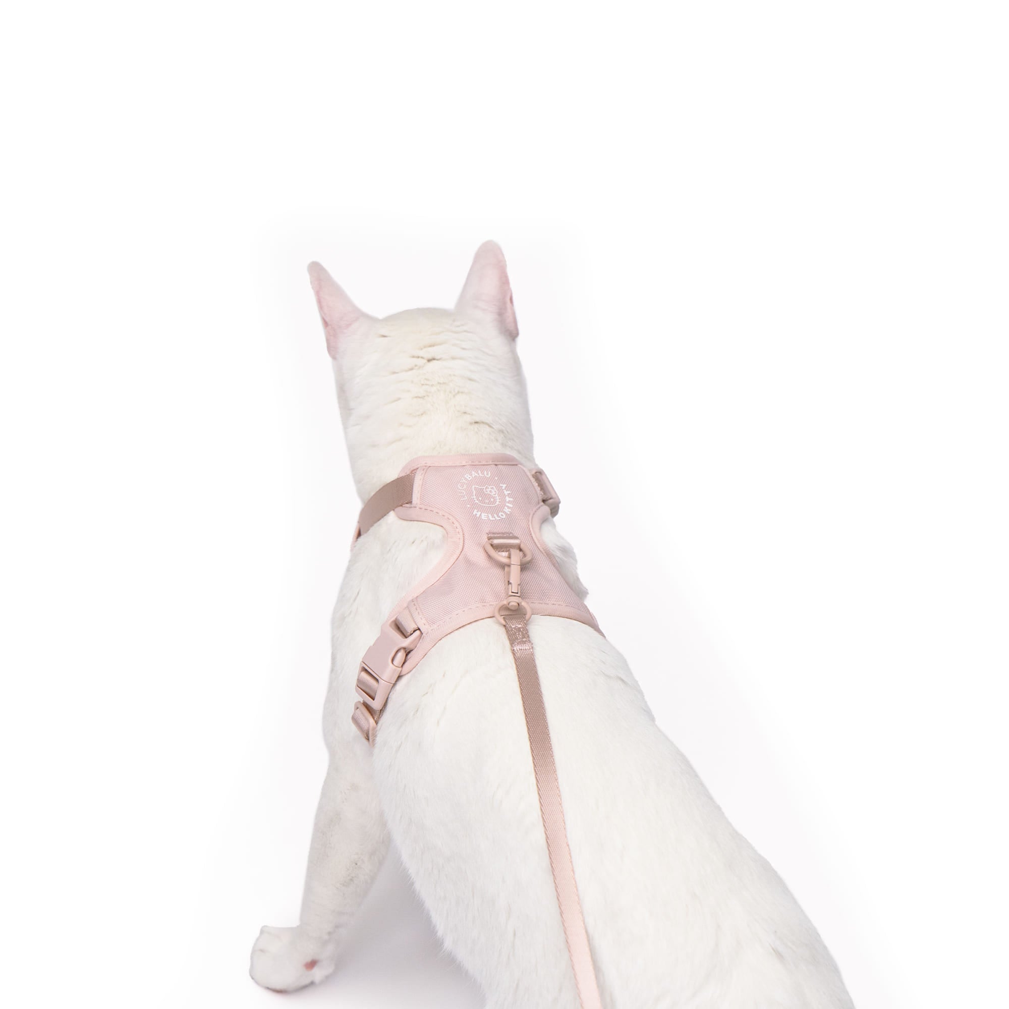 Cat harness with leash - Hello Kitty Edition - LucyBalu