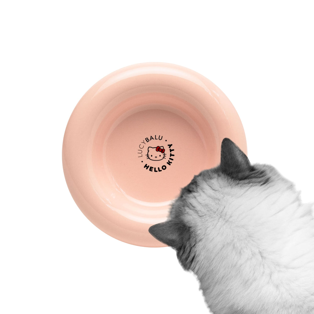 DROP Ciotola per gatti