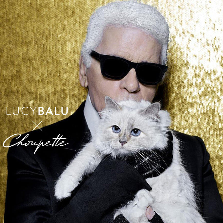 Karl Lagerfeld mit schwarzer Sonnenbrille hält seine weiße Katze Choupette vor goldenem Pailletten-Hintergrund, daneben das Logo LucyBalu x Choupette.