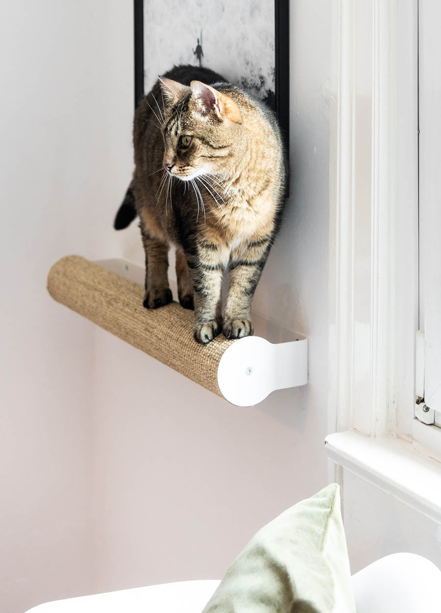 automaat Voorganger Aandringen LucyBalu - moderne meubels en designer accessoires voor de kat