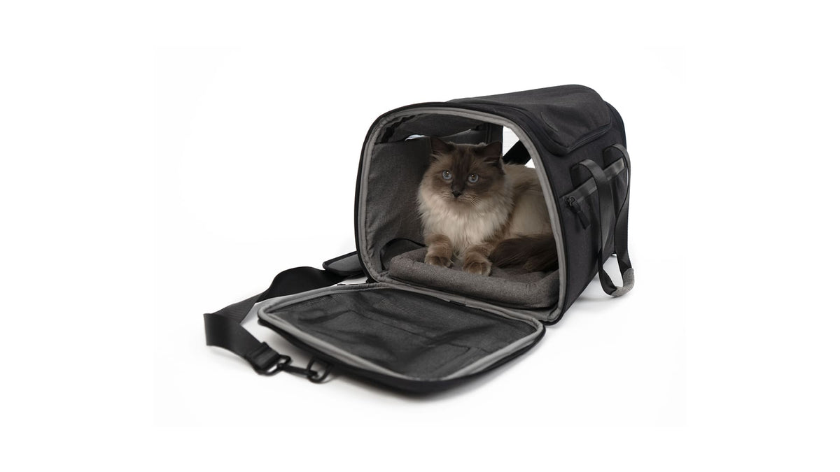 CHECK-IN Transporttasche