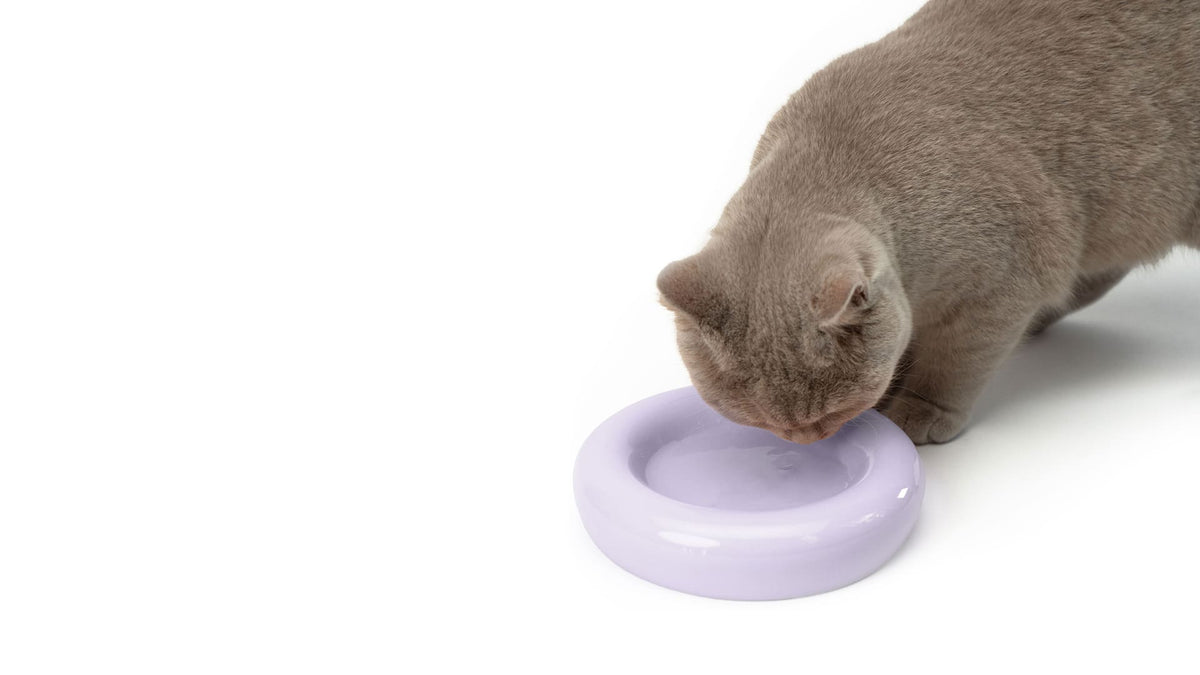 DROP Ciotola per gatti