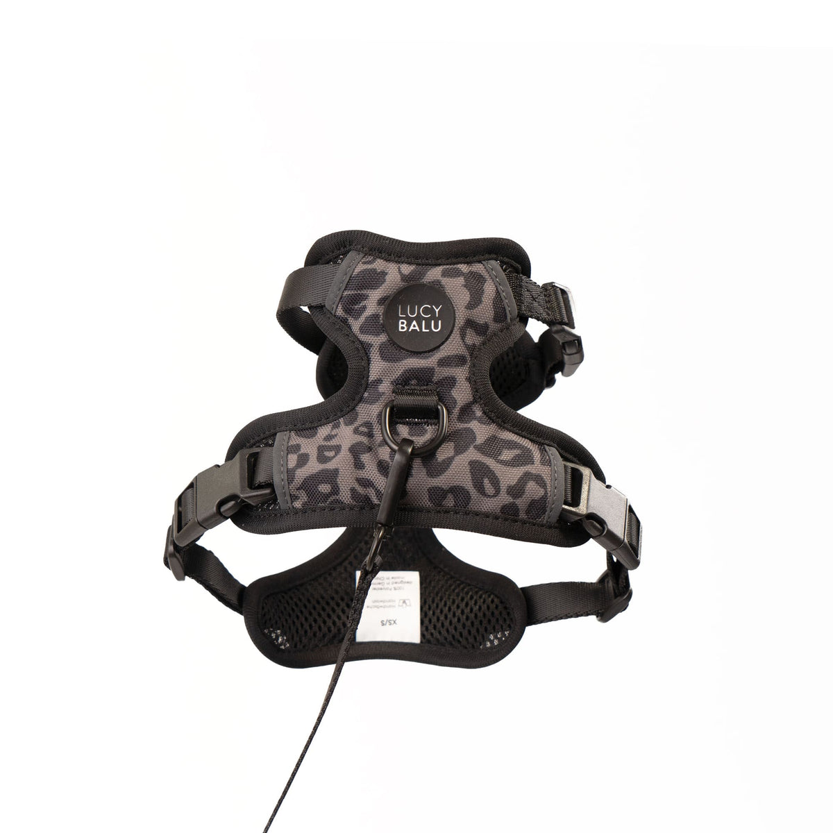 EXPLORER cat harness